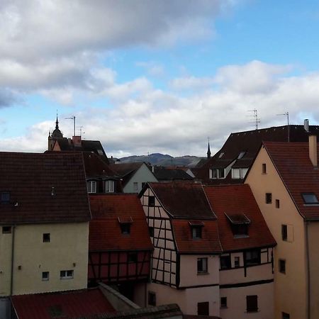 Gite Hopla 2 Chambres Colmar Dış mekan fotoğraf