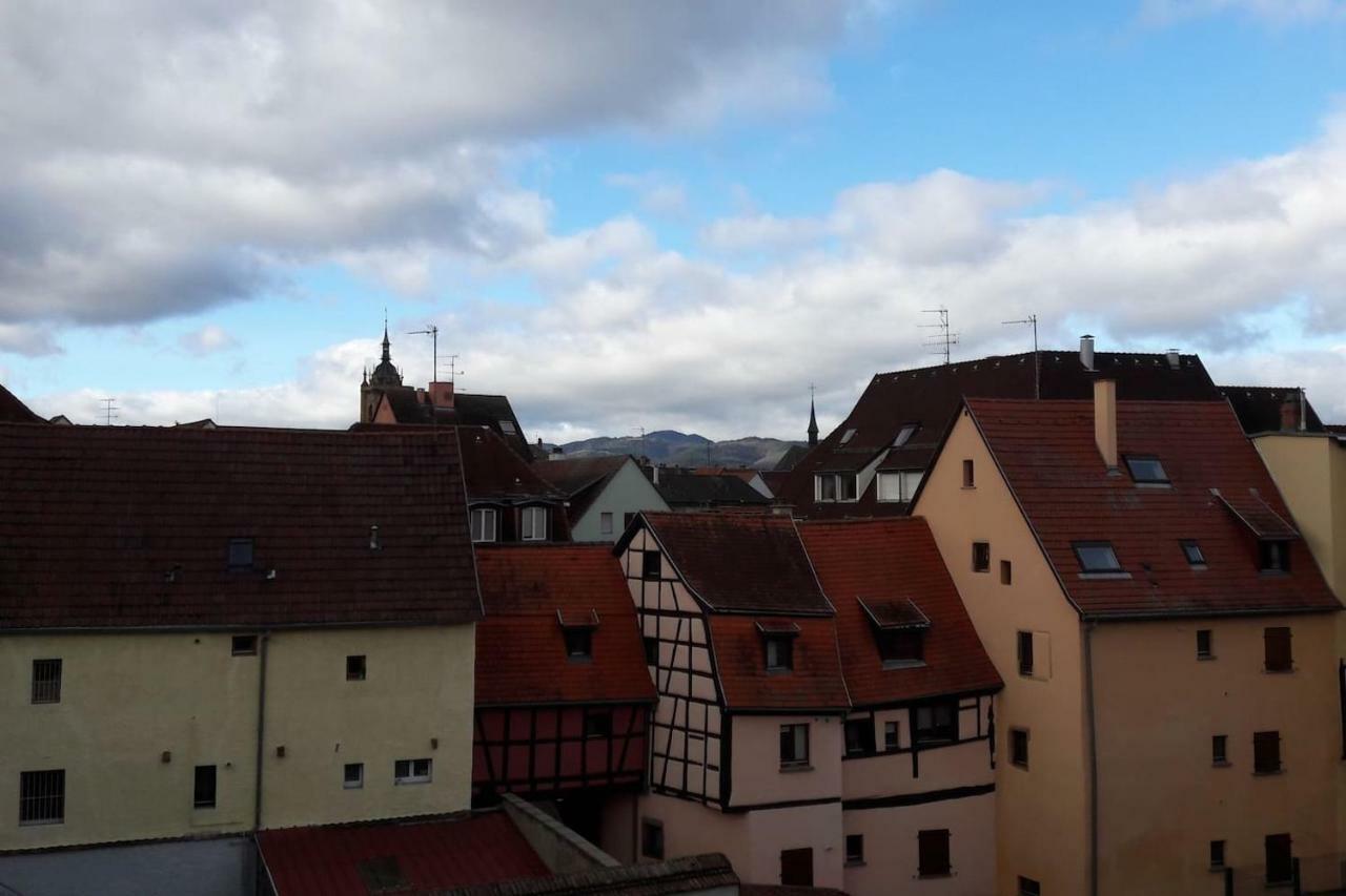 Gite Hopla 2 Chambres Colmar Dış mekan fotoğraf