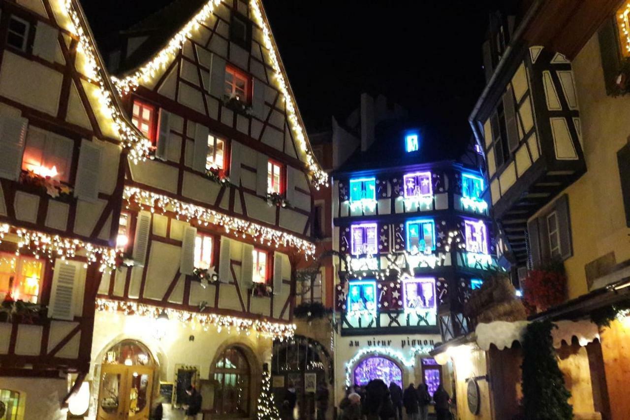 Gite Hopla 2 Chambres Colmar Dış mekan fotoğraf