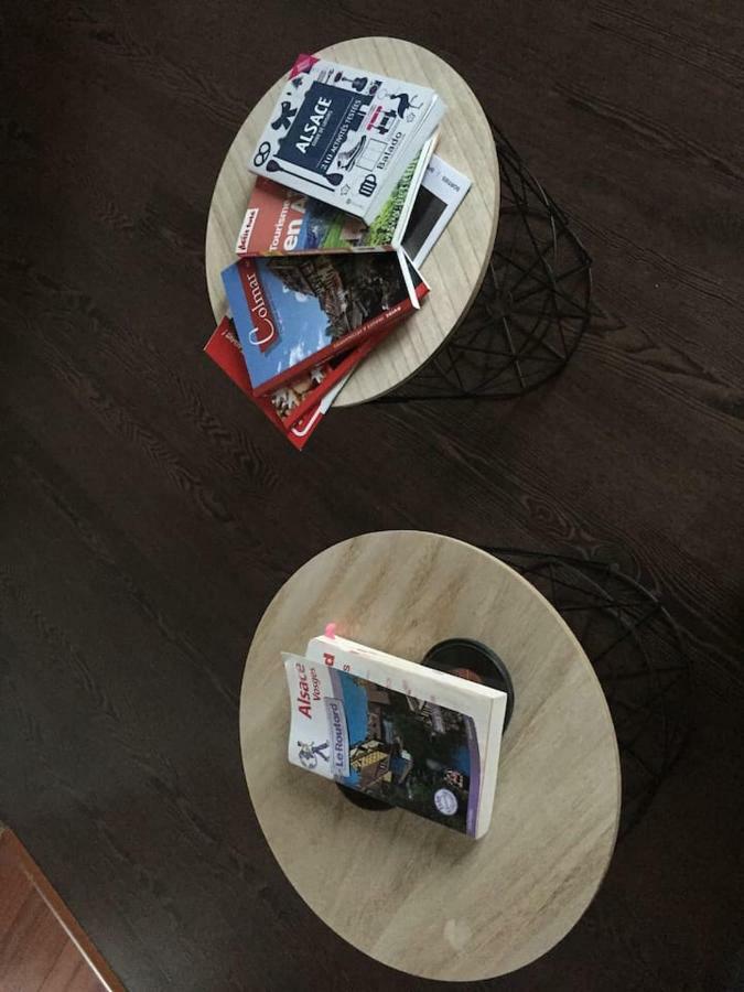 Gite Hopla 2 Chambres Colmar Dış mekan fotoğraf